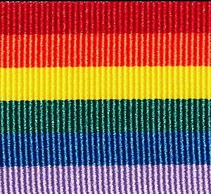 Rainbow Solid Stripe 80cm Grosgrain Ribbon